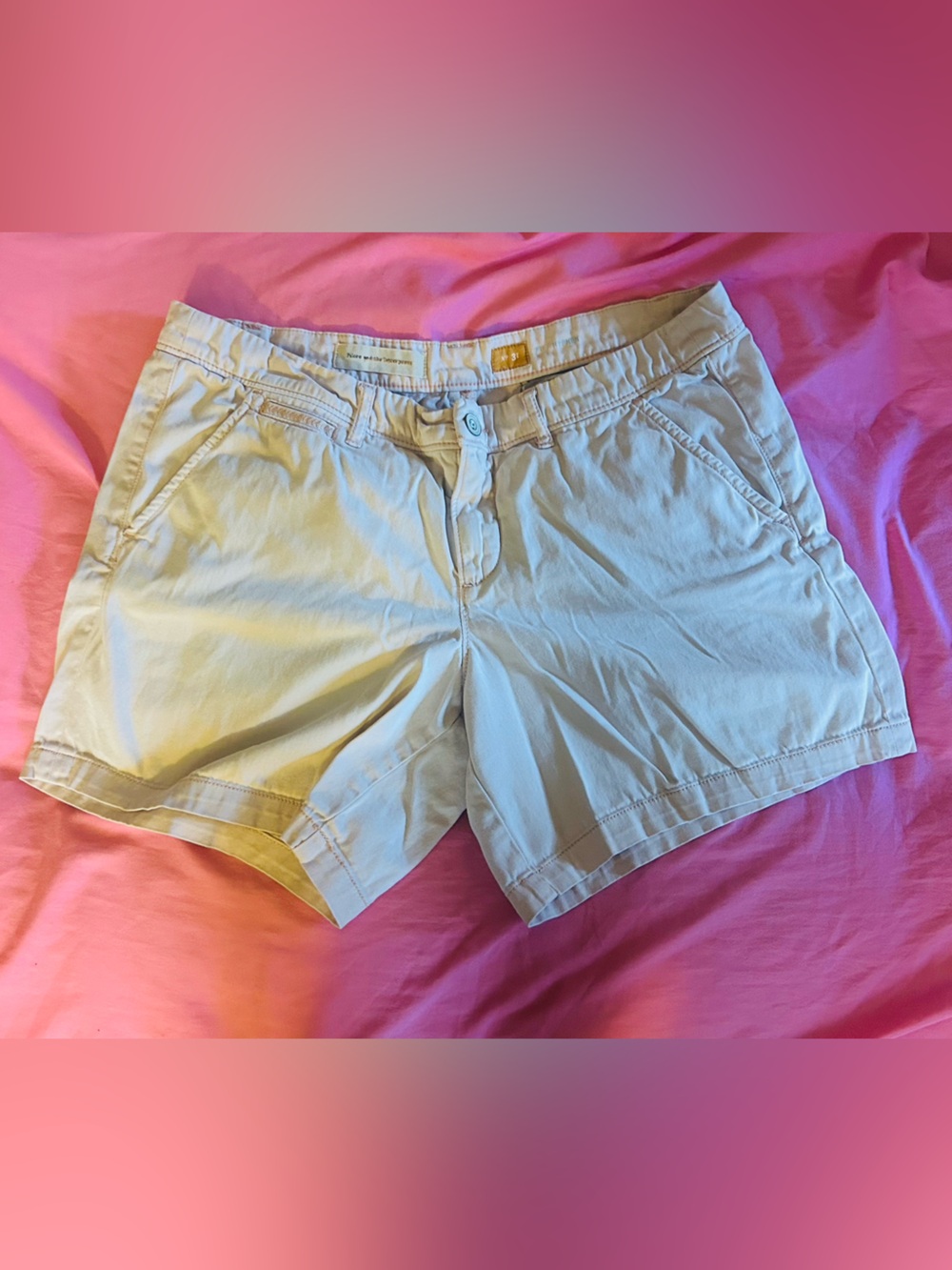 Anthropologie Pilcro & the Letterpress Beige Women’s Shorts Neutral Casual Style